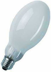 Evivak Special Lamp 500W