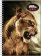 No Fear Spirale Schulheft Geregelt A4 70 Papiereinlagen 2 Schulfachhefte 347-72440 Verschiedene Designs
