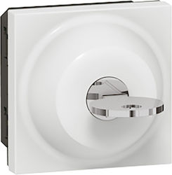 Legrand Recessed Electrical with Key Wall Switch with Frame Basic White