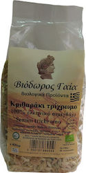 Viodoros Gaia Tri-Colored Orzo 400g