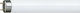 Philips Fluorescent Lamp for Socket G13 with Shape T8 18W