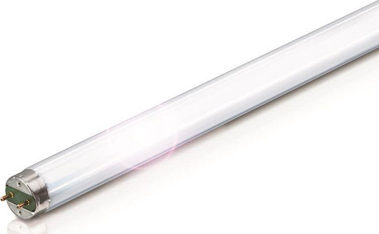 Philips SnoWWhite Fluorescent Lamp for Socket G13 with Shape T8 18W