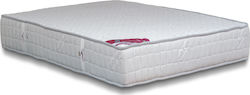 Ypnos Dionysus Einzel 90x200x22cm