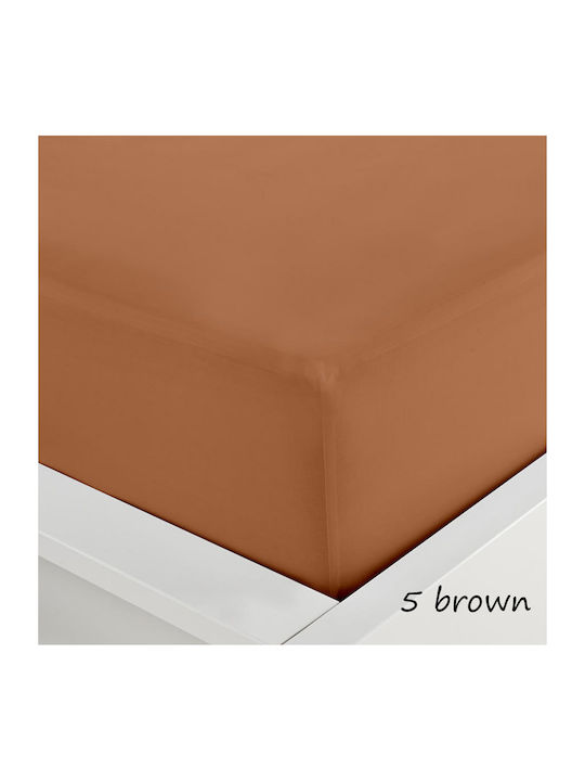 Sunshine Sheet Super-Double with Elastic 160x20...