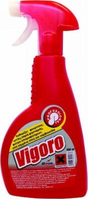 Καθαριστικό Φούρνων Vigoro Spray 500ml