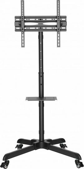 Reflecta TV Stand 55P-Shelf Δαπέδου έως 55" και 35kg