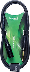 Bespeco XLR male - 6.3mm male EASX