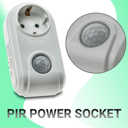 Single Socket