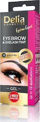 Delia Cosmetics Eyebrow Expert 2x15ml Tönung Fü...
