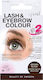 Depend Cosmetics Eyebrow Colour Set Eyebrow Mak...