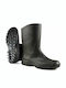 Dunlop Dee Calf Safety Tibia Wellies Black K500011