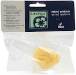 LifoPlus Face Cleaning Sponge 1pcs