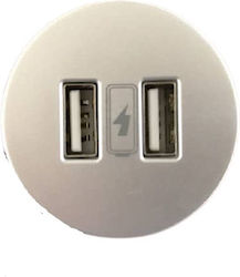 Kopp VersaPICK Χωνευτή Πρίζα με 2 Θύρες USB Ασημί
