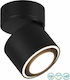 Trio Lighting Taurus Single LED Warm White Spot in Black Color