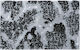 Sorema Неслизащо Бански килим Правоъгълена Marble Silver 60x100бр