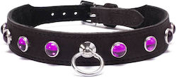 Devil Sticks Collar in Pink Color