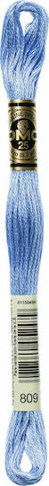 DMC Thread Embroidery Mouliné 117 Cotton in Blue color 8m Peacock Blue