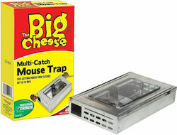 Mousetrap multiple arrests large