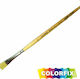 Colorfix 120981-14
