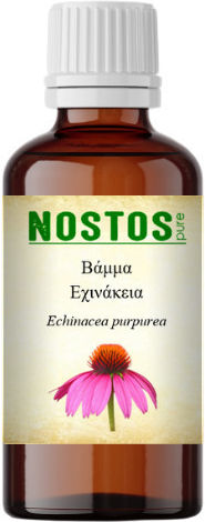 Nostos Pure Tincture Echinacea Tincture 50ml