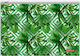 ErichKrause Папка с Цип за Хартия A4 Зеленς Tropical Leaves