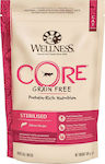 Wellness Core Grain Free Sterilised Ξηρά Τροφή για Ενήλικες Γάτες με Σολομό 0.3kg