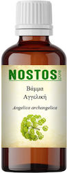 Nostos Pure Angelica Tincture 50ml