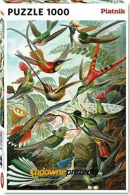 Kolibris Puzzle 2D 1000 Bucăți