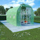 vidaXL 48164 Greenhouse Tunnel 3.4x2x2m