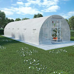 vidaXL 45752 Greenhouse Tunnel 9x3x2m