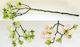 Faitakis Pack Dekorative Blume für DIY-Bastelprojekte Grün 18x60cm.