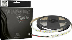 Cubalux Ταινία LED 24V 5m Cubalux Ταινία LED 24V 5m