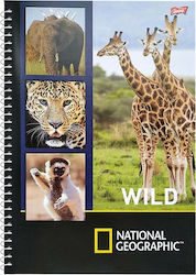 St. Majewski Σπιράλ Τετράδιο Ριγέ Β5 60 Φύλλων 84-277 Πολύχρωμο National Geographic Wild Giraffe