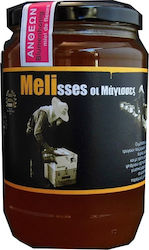 Melisses oi Magisses Organic Product Honey Flower 480gr