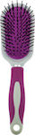 Assim Brush Hair for Hair Styling Fuchsia