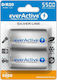 everActive Silver Line D 5500mAh (2τμχ)