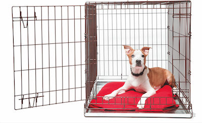 Glee Dog Wire Crate with 2 Doors Μεταλλικό Περιορισμού Medium 77.5x48.5x55.5cm 77.5x48.5x55.5cm 88501