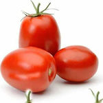 Industrial Tomato Seed RIO GRANDE - (SEKOVE) 1gr (about 350 seeds)