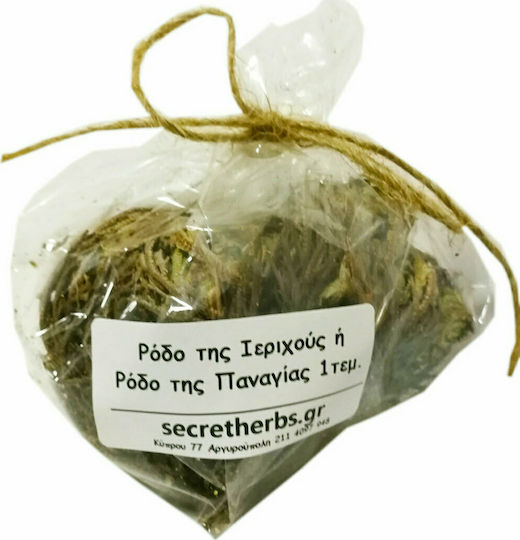 Secret Herbs Φυτό Роза от Йерихон