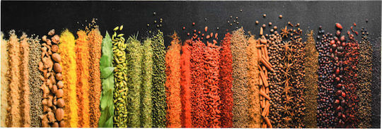 vidaXL Spices Kitchen Mat Runner with Anti-slip Underlay Multicolour 45x150εκ.
