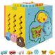 Shape Sorting Wooden Toy for 18+ Months