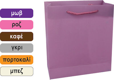 Plastic Bag for Gift 23x10x27cm. (Various Colors/Designs)