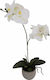 InTheBox Plantă Artificială în Ghiveci Orhidee Orchidea White 48cm 1buc