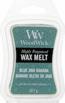 WoodWick 1Stück 22.7gr