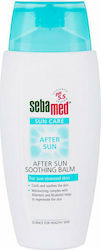 Sebamed Care Produse dupa plaja Emulsie 150ml Sebamed Care Produse dupa plaja Emulsie 150ml