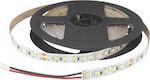 Cubalux Rezistentă la apă Bandă LED Alimentare 24V cu Lumină Alb Rece Lungime 5m și 120 LED-uri pe Metru