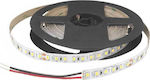 Cubalux Waterproof LED Strip Power Supply 24V with Natural White Light Length 5m and 120 LEDs per Meter