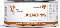 VetExpert Intestinal Cat Wet Food for Adult Cats with Gastrointestinal Disorders In Can with 1pc 100gr