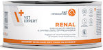 VetExpert Renal Cat Wet Food for Adult Cats for Kidney Diseases In Can with 1pc 100gr