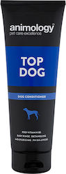 Animology Top Dog Dog Hair Softener Cream 250ml